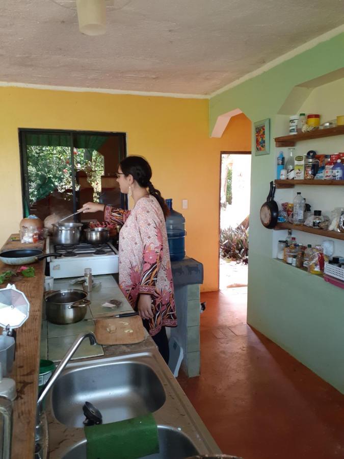La Hacienda Hostel Las Galeras Luaran gambar